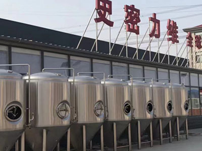 商水精酿啤酒设备厂—如何判断精酿啤酒设备的密封件需要更换？
